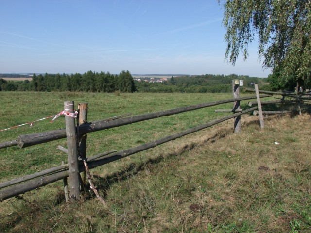 DSCF2353.JPG