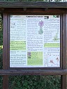 DSCF2336.JPG