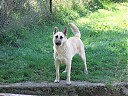 DSCF2348.JPG