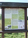 DSCF2352.JPG