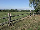 DSCF2353.JPG
