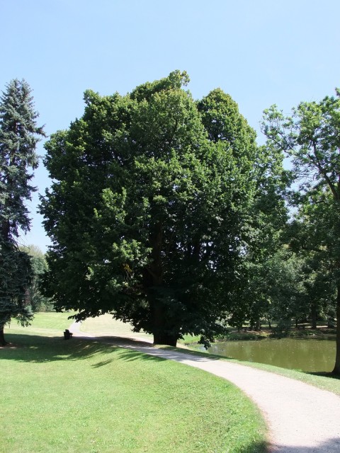 DSCF2104.JPG