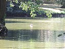 DSCF2105.JPG