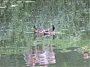 DSCF1206.JPG