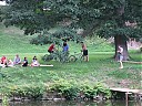 DSCF1208.JPG