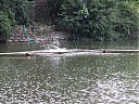 DSCF1212.JPG