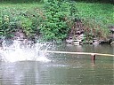 DSCF1282.JPG