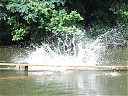 DSCF1286.JPG