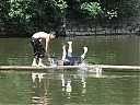 DSCF1338.JPG