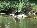 DSCF1356.JPG
