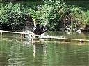 DSCF1358.JPG