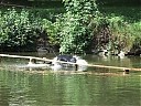 DSCF1360.JPG