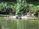 DSCF1362.JPG