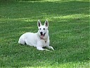 DSCF1373.JPG
