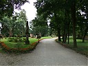 DSCF1629.JPG