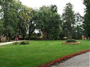 DSCF1631.JPG