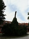DSCF1638.JPG
