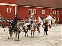 DSCF1813.JPG