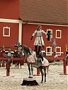 DSCF1917.JPG
