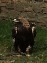 DSCF1955.JPG