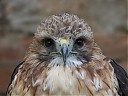 DSCF2088.JPG