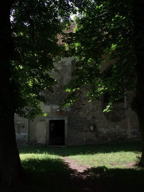 DSCF0811.JPG