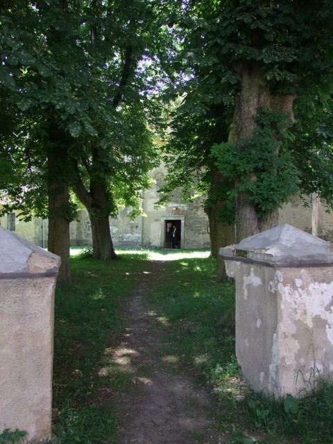 DSCF0815.JPG