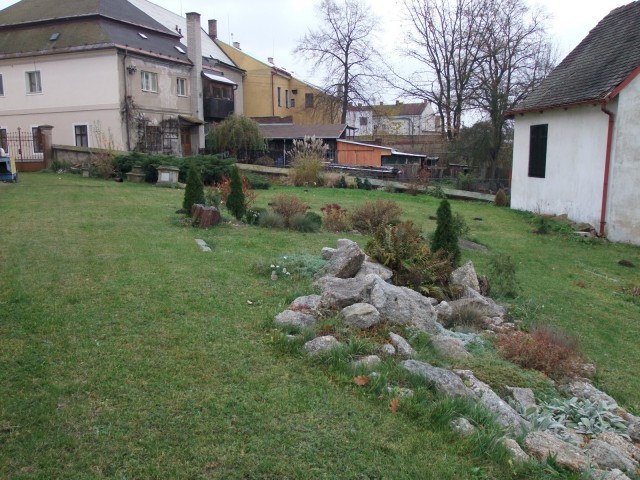 DSCF2875.JPG