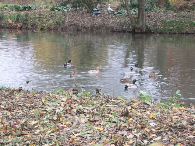 DSCF2884.JPG
