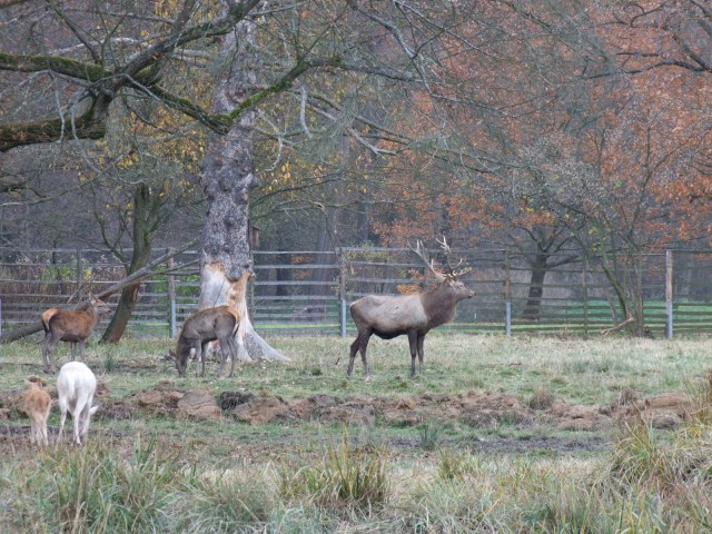 DSCF2908.JPG
