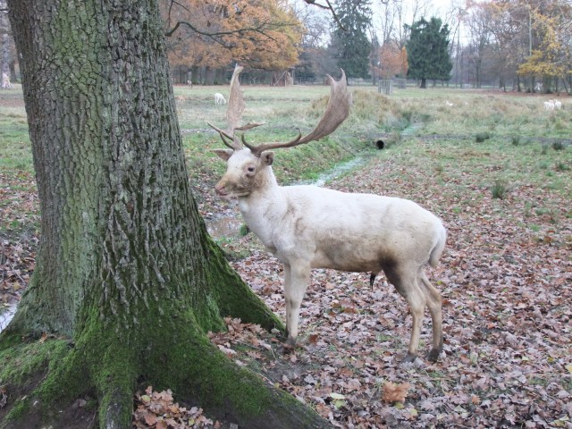 DSCF2913.JPG