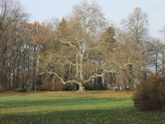 DSCF3117.JPG