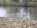 DSCF2884.JPG