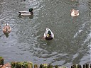 DSCF2885.JPG