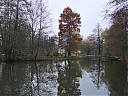 DSCF2887.JPG