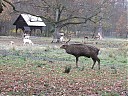 DSCF2900.JPG