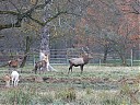 DSCF2908.JPG