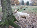 DSCF2913.JPG