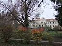 DSCF2920.JPG