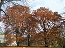 DSCF3113.JPG