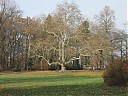 DSCF3117.JPG