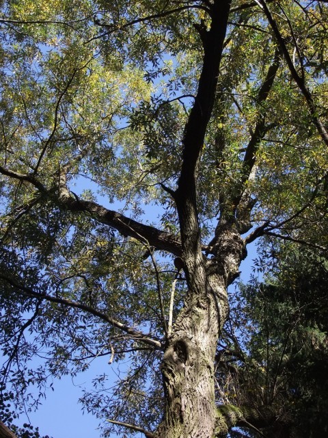 DSCF2714.JPG