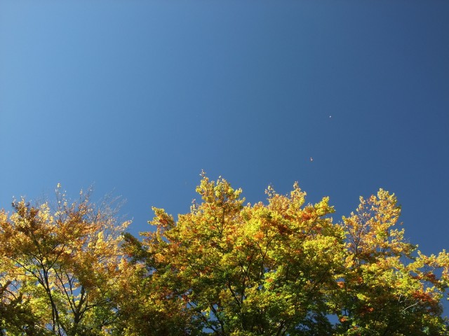 DSCF2715.JPG