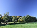 DSCF2659.JPG