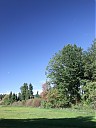 DSCF2711.JPG