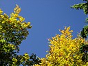 DSCF2718.JPG
