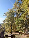 DSCF2760.JPG