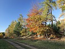 DSCF2772.JPG