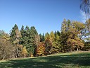 DSCF2777.JPG