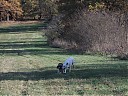 DSCF2788.JPG